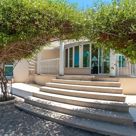 Amelia By Ezoria Perivólia